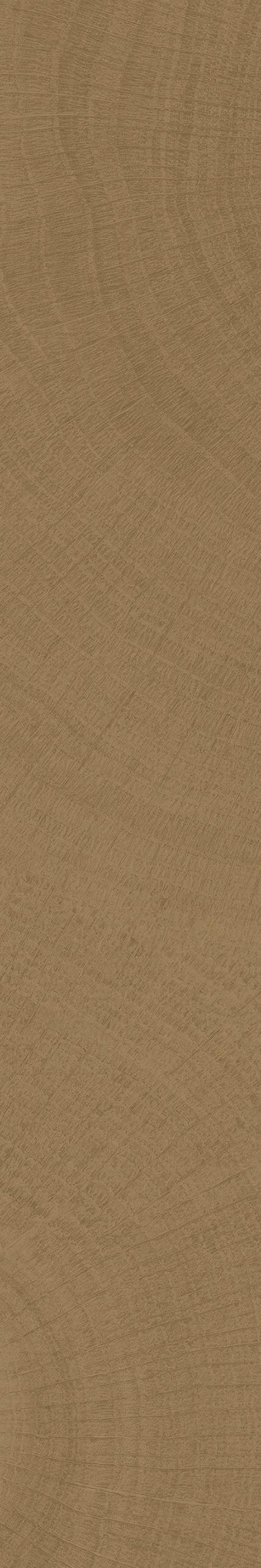 S10234