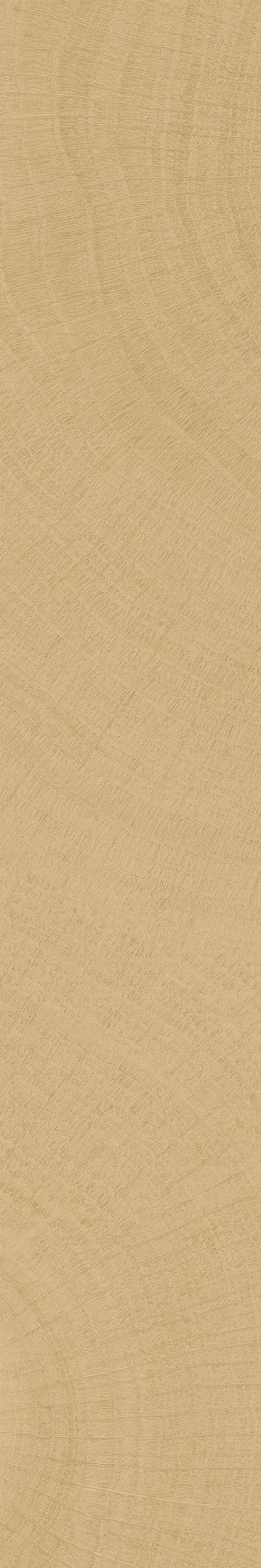 S10231